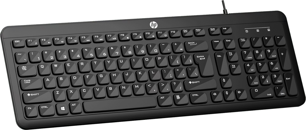 HP K160 Wired USB Standard Desktop Keyboard Compatible with Desktop, Laptop  (Black)