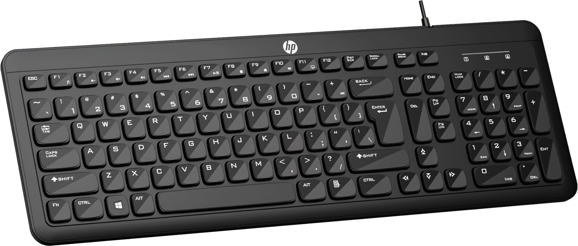 HP K160 Wired USB Standard Desktop Keyboard Compatible with Desktop, Laptop  (Black)