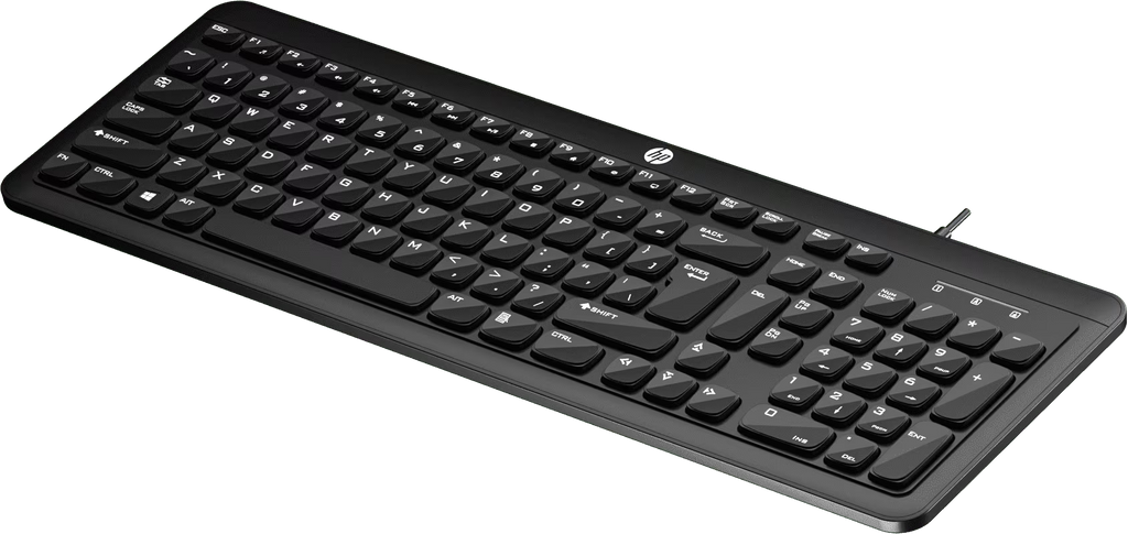 HP K160 Wired USB Standard Desktop Keyboard Compatible with Desktop, Laptop  (Black)