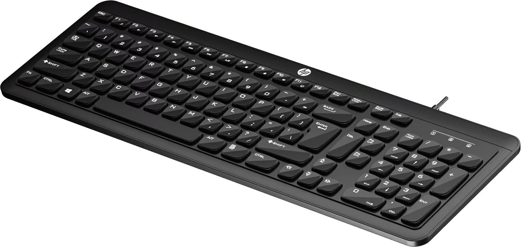 HP K160 Wired USB Standard Desktop Keyboard Compatible with Desktop, Laptop  (Black)